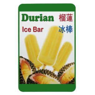 Íman Popsicle da fruta tropical do bar do gelo do
