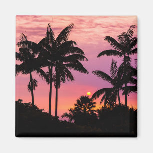 Íman Pôr do sol através das palmeiras