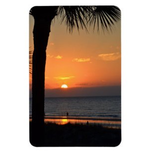 Íman Pôr do sol com cena de praias de palmeira de árv