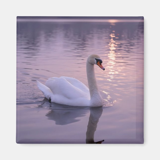 Íman Pôr do Sol do Cisne Elegante (Frente)