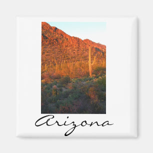 Íman Por do sol do parque nacional de Saguaro