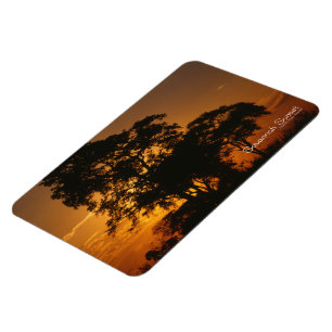 Íman Pôr do sol em Savannah