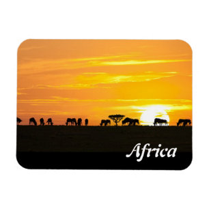 Íman Por do sol em Serengeti