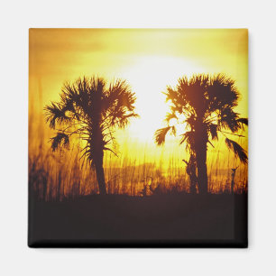 Íman Pôr do sol, N.A., EUA, Carolina do Sul, Charleston
