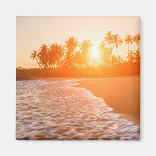 Íman Por do sol na praia com palmas de coco Sri Lanka