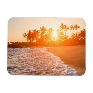 Íman Por do sol na praia com palmas de coco   Sri Lanka