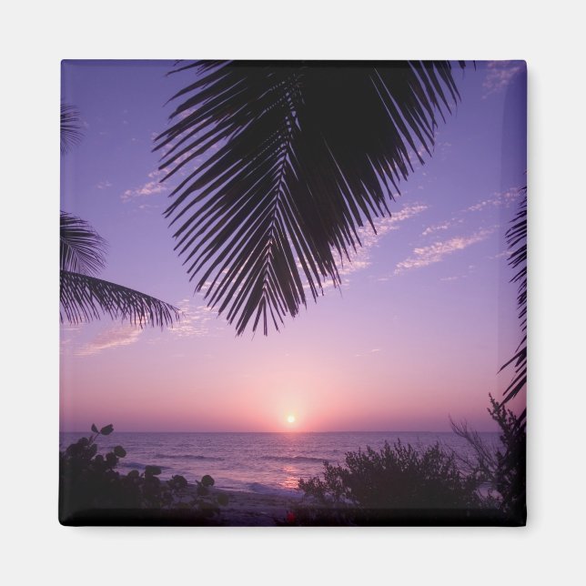 Íman Pôr do sol no West End, Cayman Brac, Ilhas Cayman, (Frente)