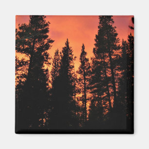 Íman Pôr do sol nos prados de Tuolumne, Yosemite, CA