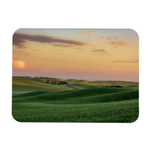 Íman Por do sol sobre o estado de campos de trigo  