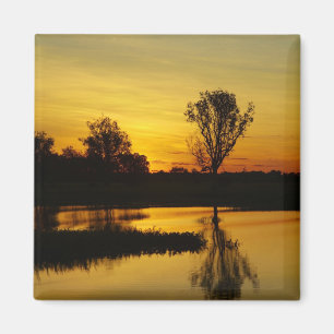 Íman Pôr do sol, Yellow Water Billabong