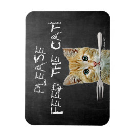 Íman Por Favor, Alimente O Gato Engraçado