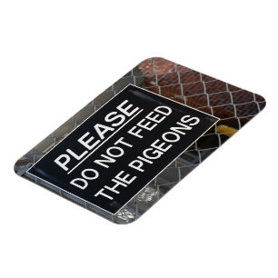 Íman Por favor, não alimente a Nova Iorque de suínos