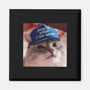 Íman Por Favor Seja Paciente Eu Tenho Autismo Gato Engr