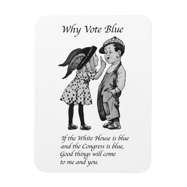 Íman Por que votar totalmente azul em 2028 (Vertical)