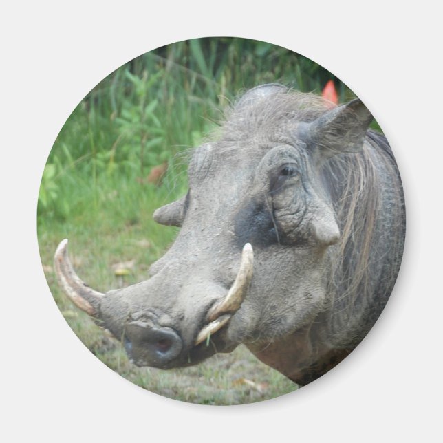 Íman porca10x10 (Frente)