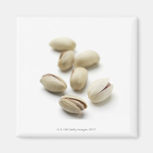 Íman Porcas de Pistachio
