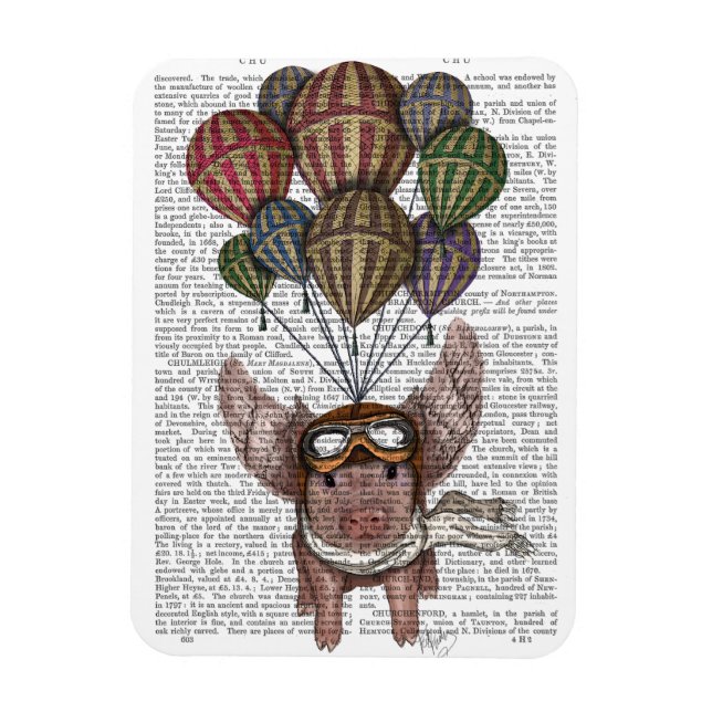 Íman Porco em chamas (Vertical)