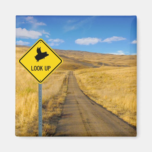 Íman Porcos Voando Acima do Sinal (Frente)