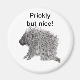 Íman Porcupine