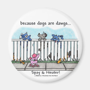 Íman Porque os cães são Dawgs