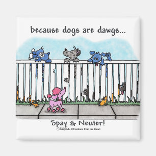 Íman Porque os cães são Dawgs