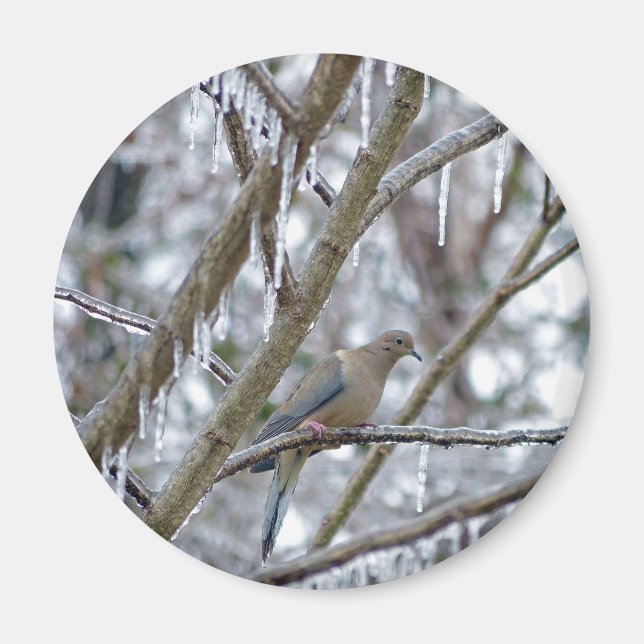 Íman Porta de luto (Frente)