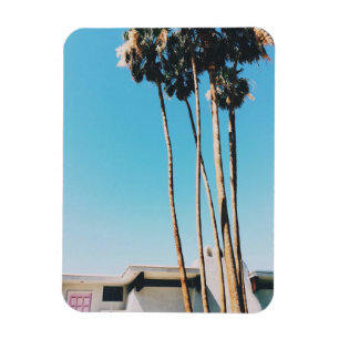 Íman Porta Rosa De Primaveras De Palma