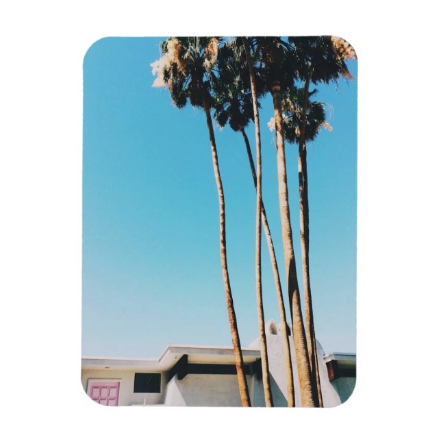 Íman Porta Rosa De Primaveras De Palma (Vertical)