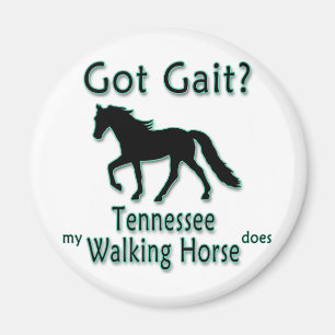 Íman Porte obtido? Meu cavalo de passeio de Tennessee