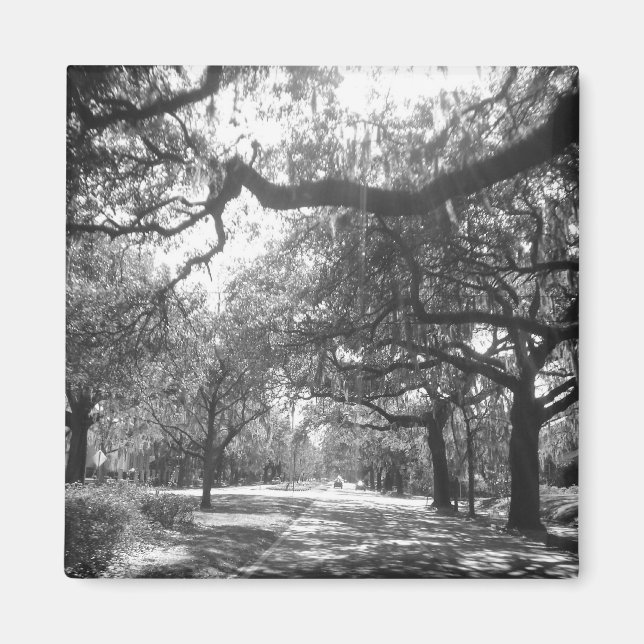 Íman porto da natureza (Frente)