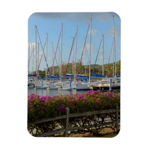 Íman Porto de Iates de Virgin Gorda