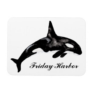 Íman Porto de sexta-feira