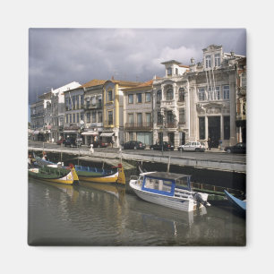 Íman Portugal, Aveiro. Moliceiros (coleta de algas)