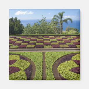 Íman Portugal, Ilha da Madeira, Funchal. Botânico