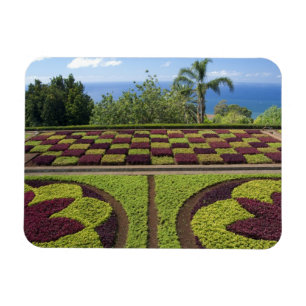 Íman Portugal, Ilha da Madeira, Funchal. Jardim Botânic