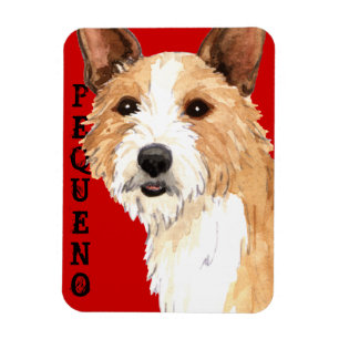 Íman Português Podengo Pequeno