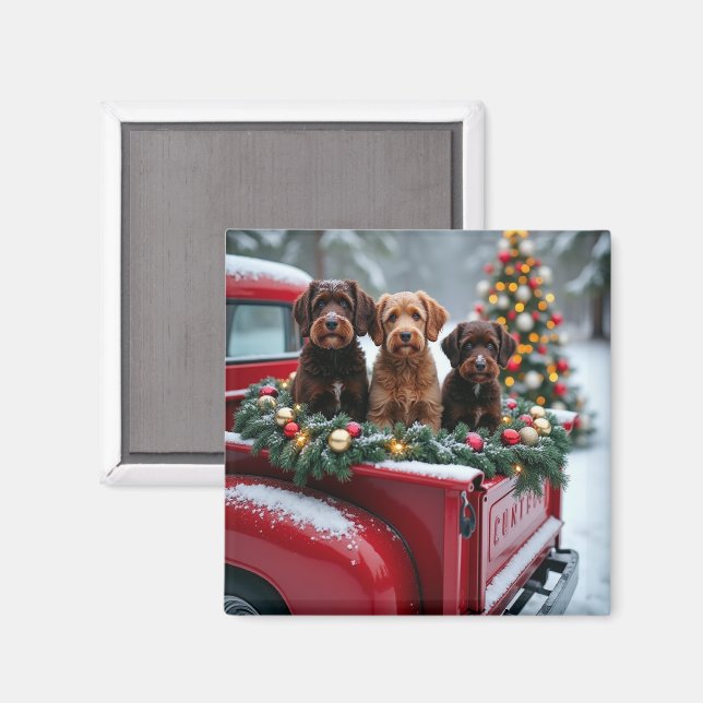 Íman Portuguese Water Dog Christmas Red Truck Holiday (Front/Back)