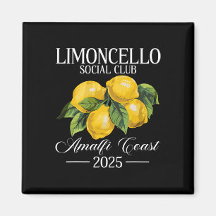 Íman Positano Itália Férias Limoncello Costa Amalfi Va