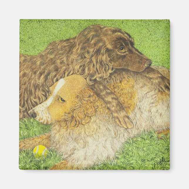 Íman Posse (Frente)