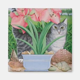 Íman Possibilidades de exploração 2011