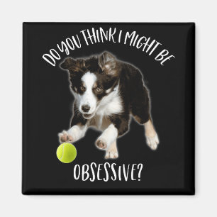 Íman Posso Ser Obsessivo, Collie De Borda Típica.