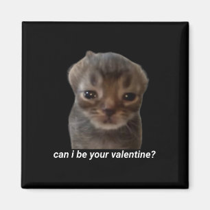 Íman Posso Ser Seu Namorado Meme de Gato Engraçado Brai