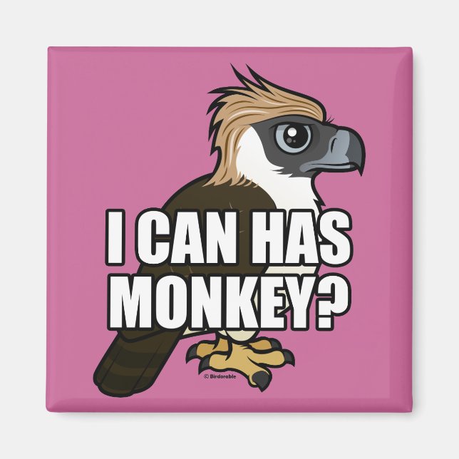 Íman Posso Ter Macaco? (Frente)