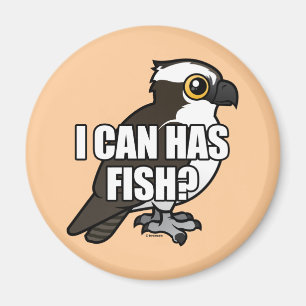 Íman Posso Ter Peixe?