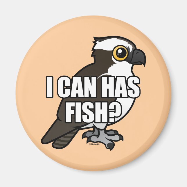 Íman Posso Ter Peixe? (Frente)