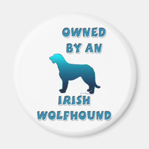 Íman Possuído por um Wolfhound irlandês