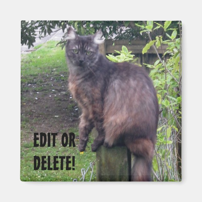 Íman Postar Magneta Cat (Frente)