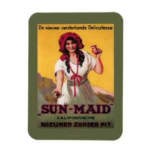 Íman Poster da passa de Califórnia da Sun-Empregada