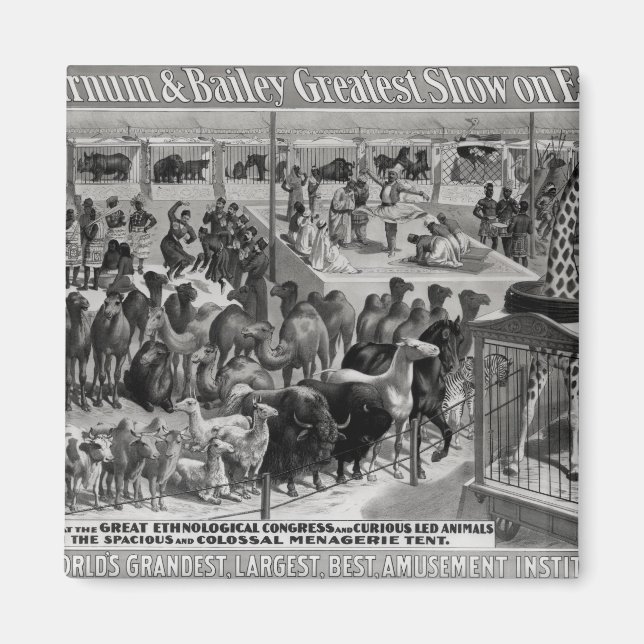 Íman Poster publicando: 'Barnum e Bailey (Frente)