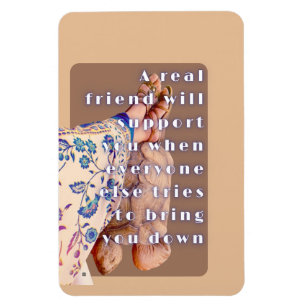 Íman Poster REAL AMIZADE Lady e sua Tortoise